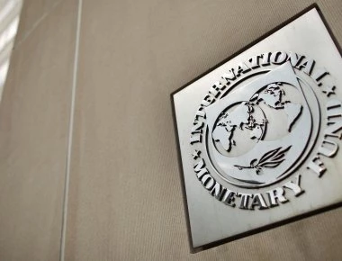 Πρόεδρος γερμανικού ινστιτούτου : «Αναπόφευκτη η προσφυγή της Τουρκίας στο ΔΝΤ»